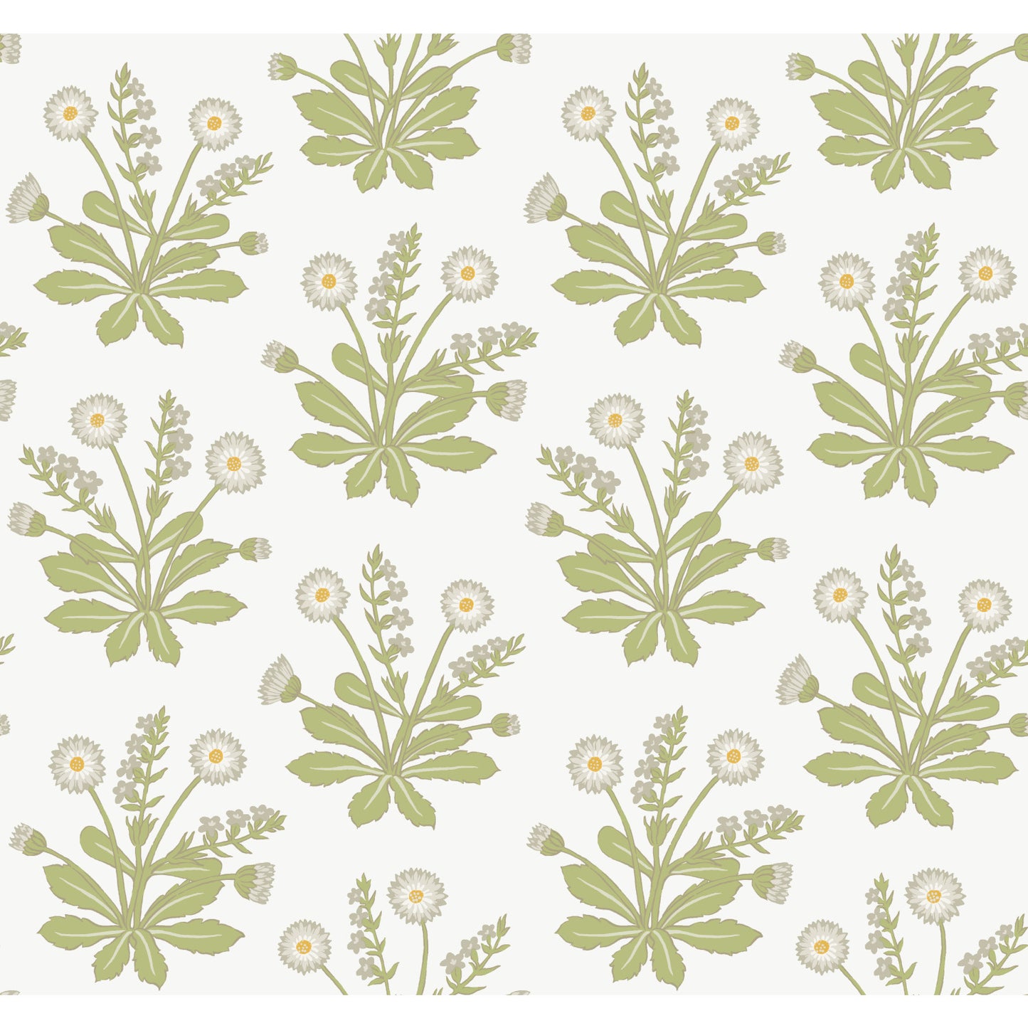 York Wallcoverings Arts and Crafts Meadow Flowers White Wallpaper  Florals and Flowers Whites and Off-Whites  Wallpaper - AC9155
