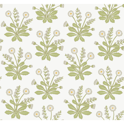 York Wallcoverings Arts and Crafts Meadow Flowers White Wallpaper  Florals and Flowers Whites and Off-Whites  Wallpaper - AC9155