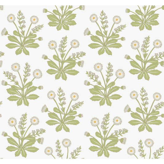 York Wallcoverings Arts and Crafts Meadow Flowers White Wallpaper  Florals and Flowers Whites and Off-Whites  Wallpaper - AC9155