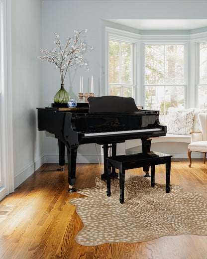 Momeni Rugs   Acadia 5'X8'    - ACADIACA-2BGE537A