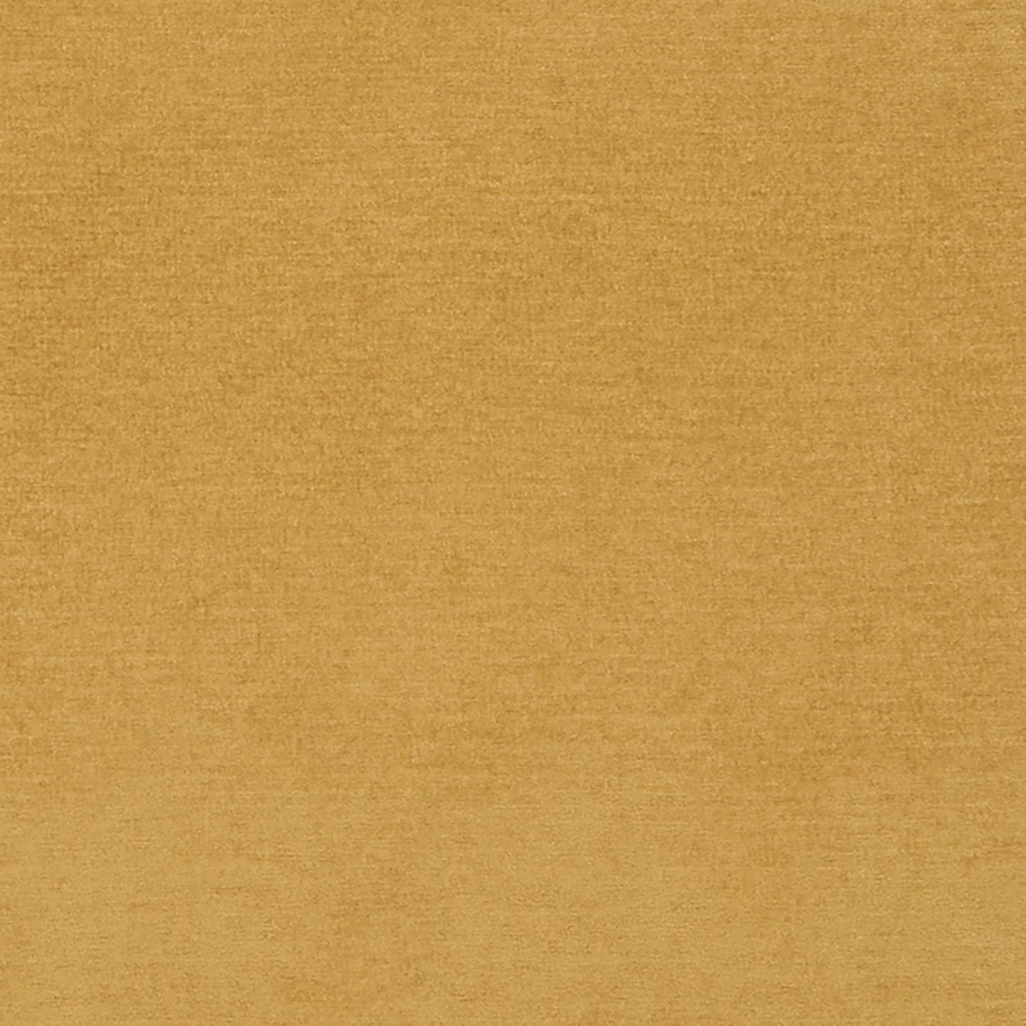 JF Fabrics Crypton ADDINGTON 15 Fabric Traditional,Transitional,Contemporary,Plain Yellow,Gold  Chenille,Texture - 5772815 J7031