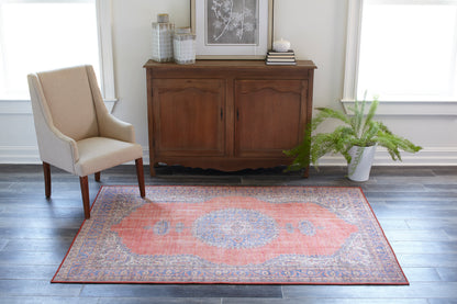 Coral and blue Persian-style rug on dark wood floor beside a beige upholstered chair and a wooden sideboard with potted fern.