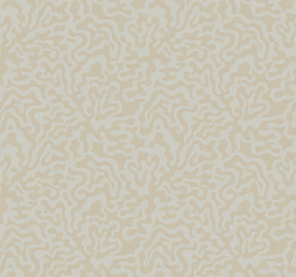 York Wallcoverings Artistic Abstracts Nebulous Cloud Grey and Gold Wallpaper Modern Geometrics Browns  Wallpaper - AG2023
