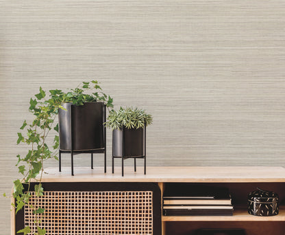 York Wallcoverings Artistic Abstracts Fountain Grass Taupe Wallpaper Transitional Faux Grasscloth Greys  Wallpaper - AG2088