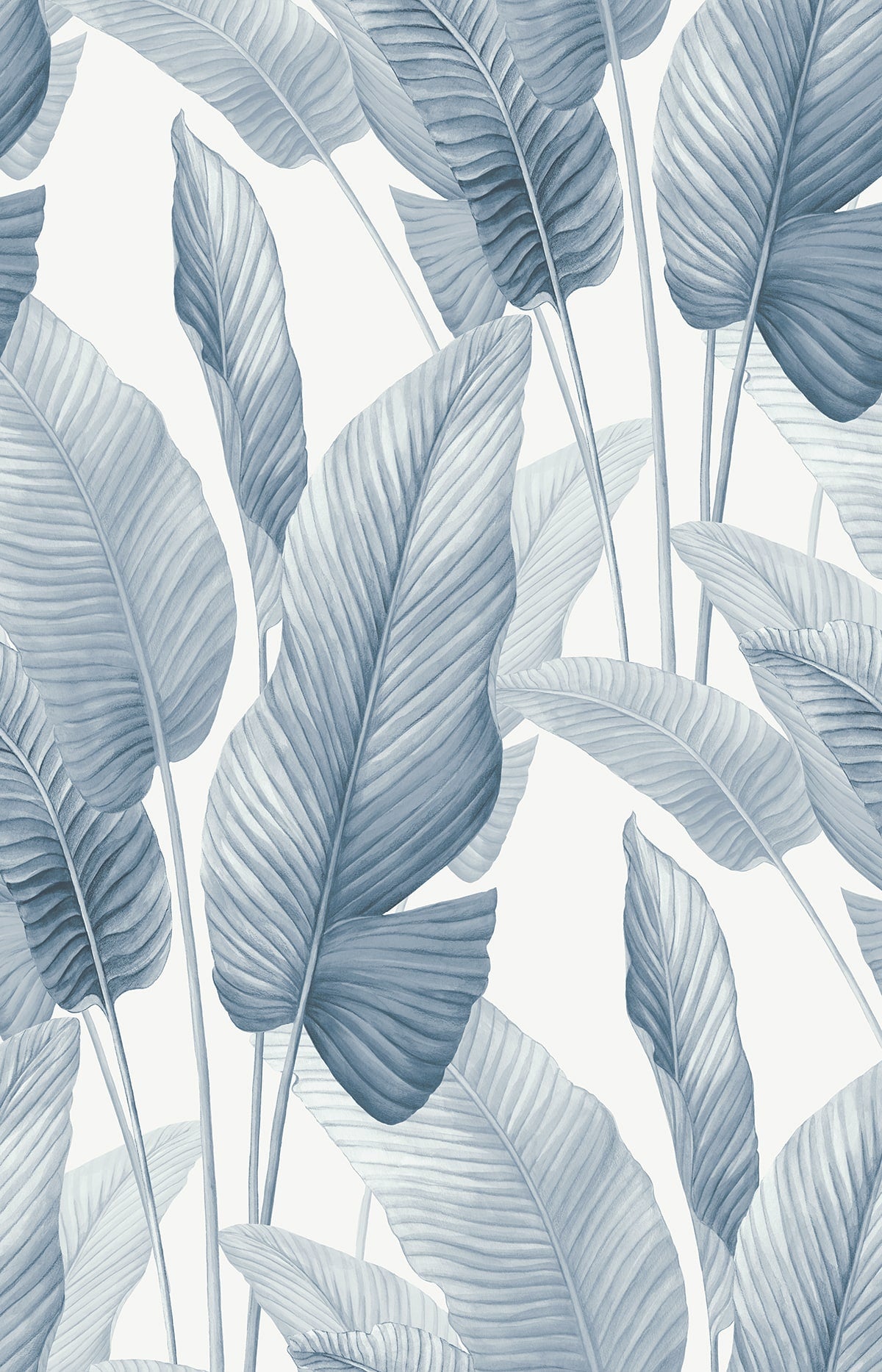 Seabrook Designs  Mantra Botanical Tropical Blues   - AG60002