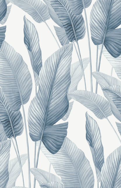 Seabrook Designs  Mantra Botanical Tropical Blues   - AG60002
