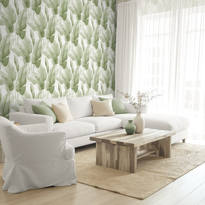 Seabrook Designs  Mantra Botanical Tropical Greens   - AG60004