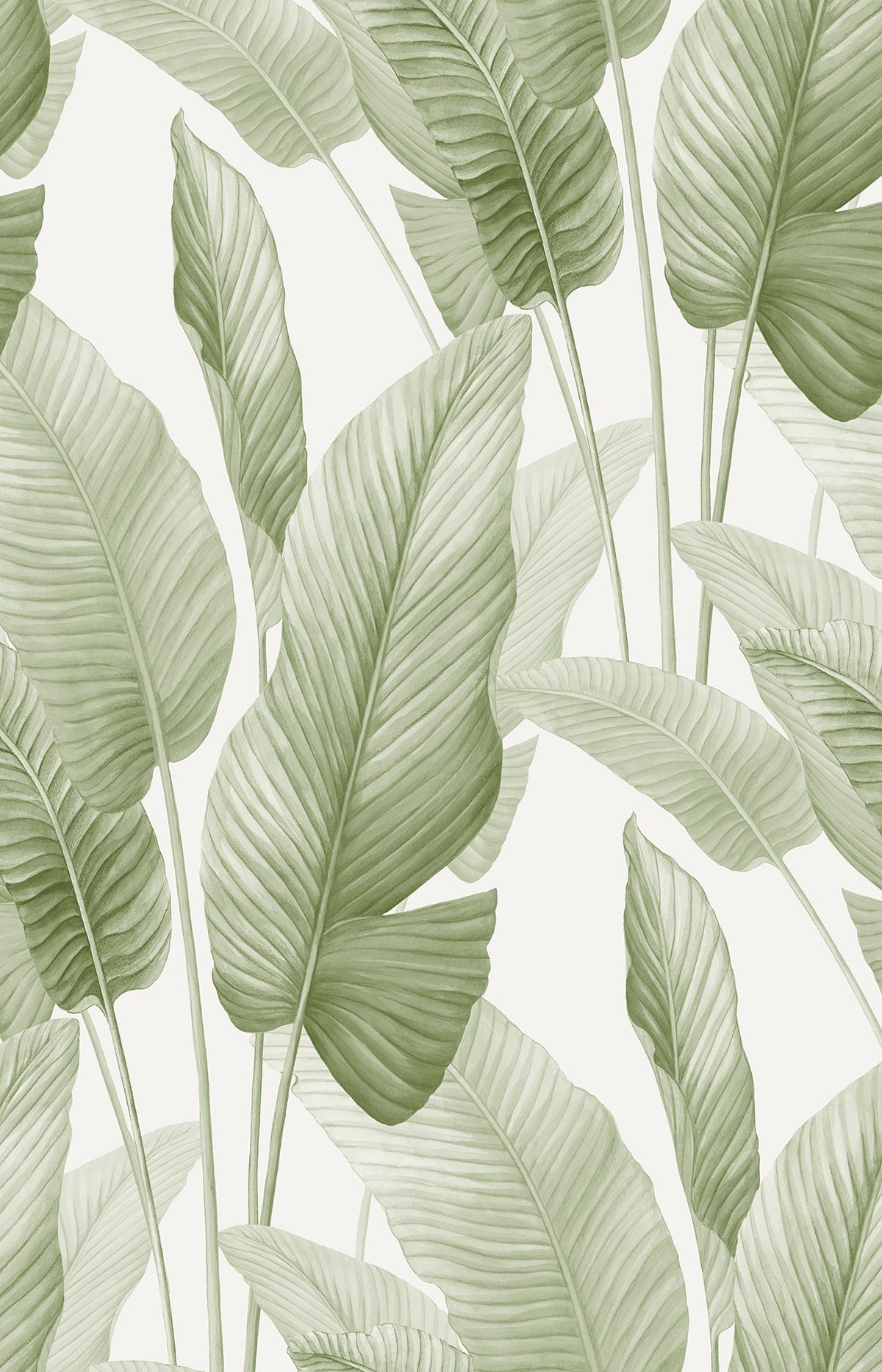 Seabrook Designs  Mantra Botanical Tropical Greens   - AG60004