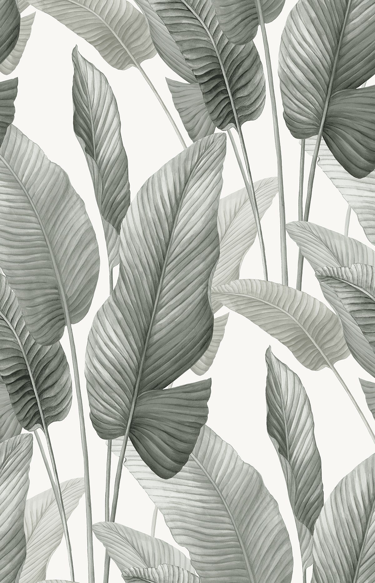Seabrook Designs  Mantra Botanical Tropical Whites , Off Whites   - AG60010