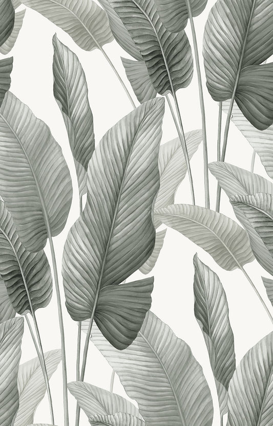 Seabrook Designs  Mantra Botanical Tropical Whites , Off Whites   - AG60010