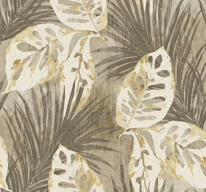 Seabrook Designs  Karma Botanical Tropical Warm Neutrals , Beiges   - AG60205
