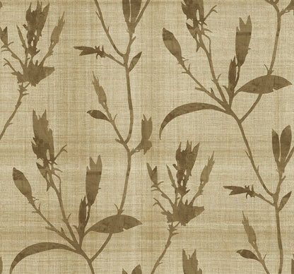 Seabrook Designs  Banyu Botanical Contemporary Warm Neutrals , Beiges   - AG60605