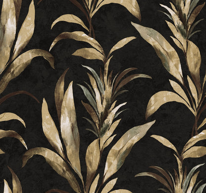 Seabrook Designs  Padma Botanical Tropical Blacks   - AG60700