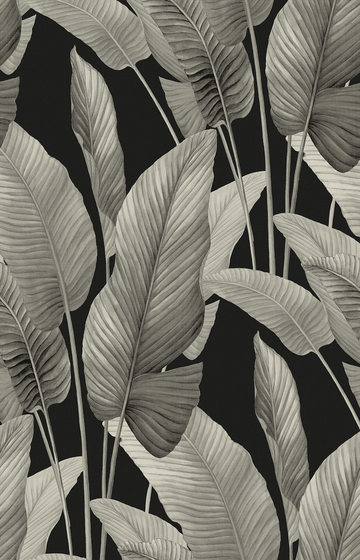 Seabrook Designs  Mantra Metallic Botanical Tropical Silvers , Pewters   - AG62000