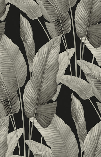 Seabrook Designs  Mantra Metallic Botanical Tropical Silvers , Pewters   - AG62000