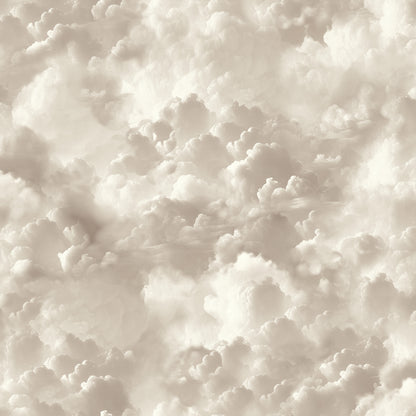 Beige sepia-toned cloud pattern with fluffy cumulus shapes.