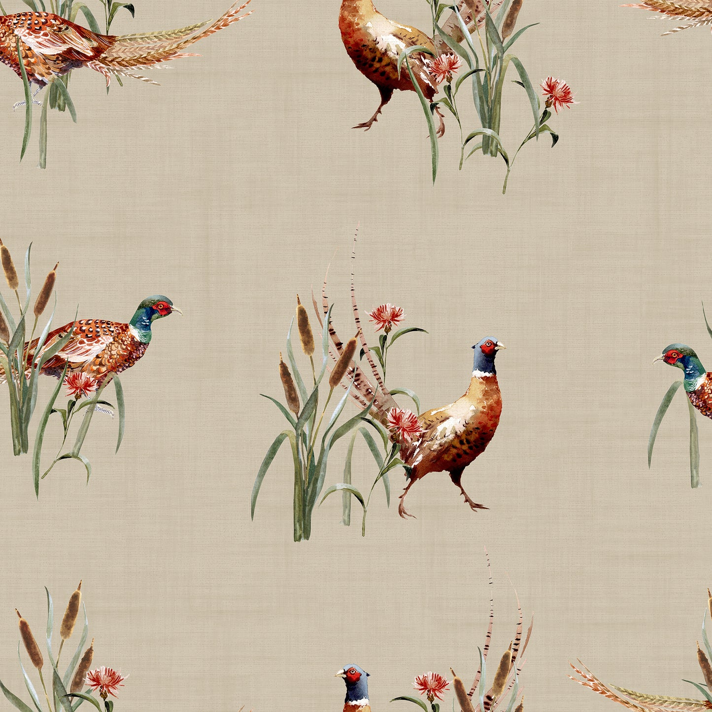 York Wallcoverings Arthouse Eustace Neutral Pheasant Meadow Wallpaper Animals Country Neutral  Wallpaper - AH100214AH
