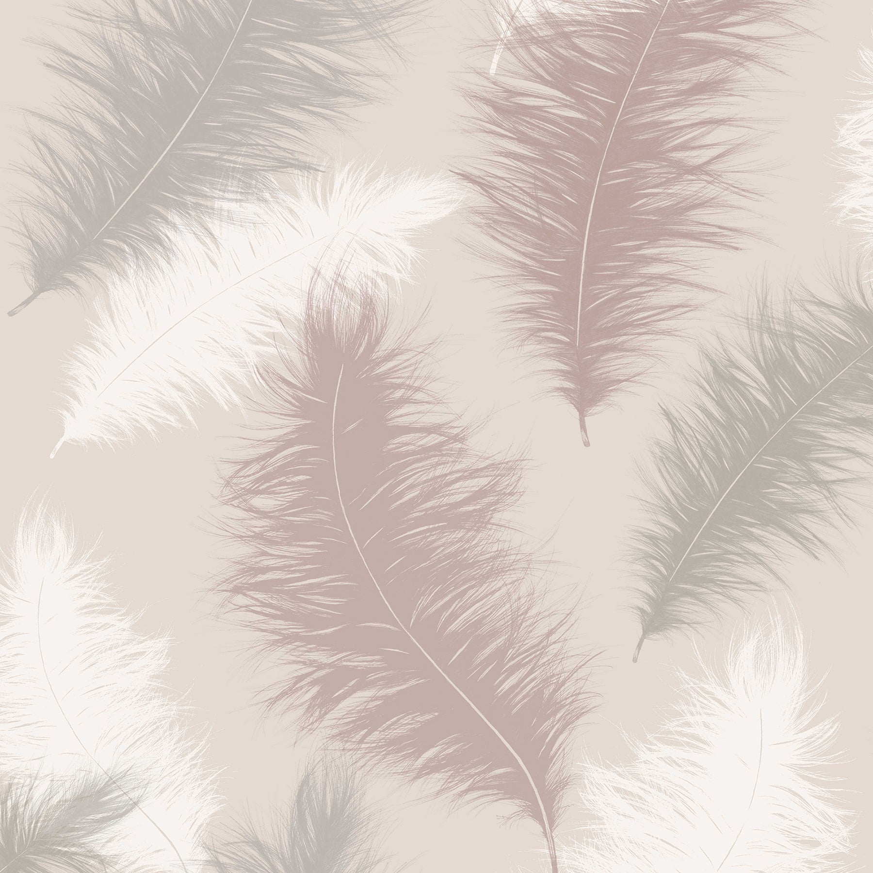Pink feather wallpaper pattern with wispy white feathers on a pale pink background.