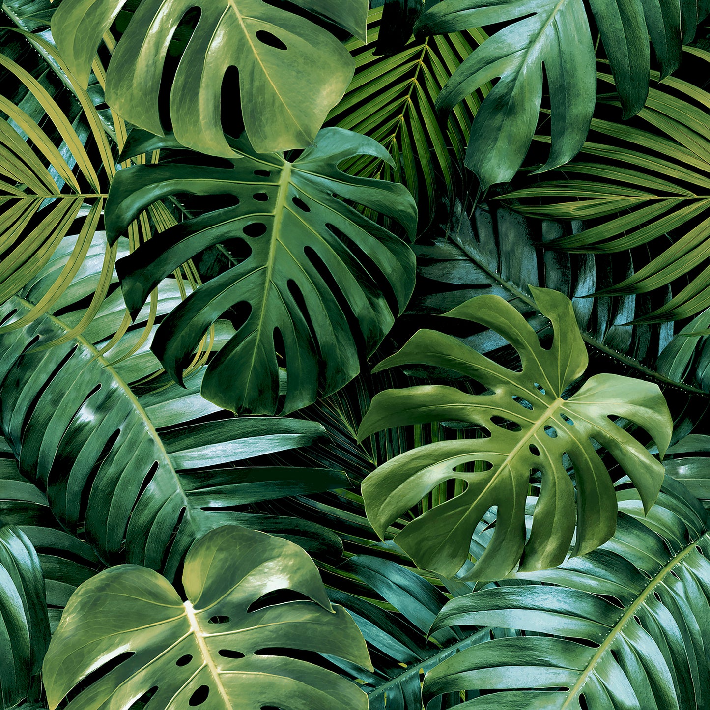 Lush tropical green leaves with Monstera fenestrations and palm fronds, vibrant jungle foliage.