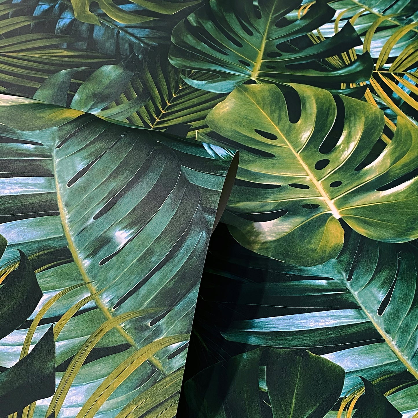 Close-up of overlapping monstera leaves in rich greens with yellow veins, tropical foliage pattern.