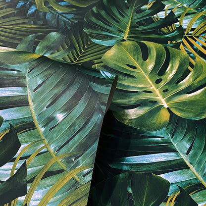 Close-up of overlapping monstera leaves in rich greens with yellow veins, tropical foliage pattern.