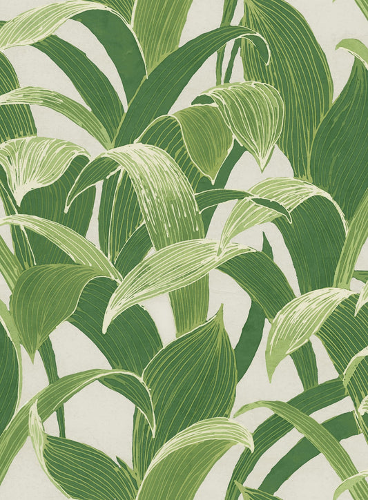 Seabrook Designs Koi Imperial Banana Groves Botanical Traditional Green Metallic Sidewall - AI40304