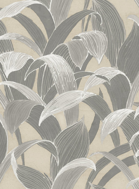 Seabrook Designs Koi Imperial Banana Groves Botanical Traditional Grey Metallic Sidewall - AI40308