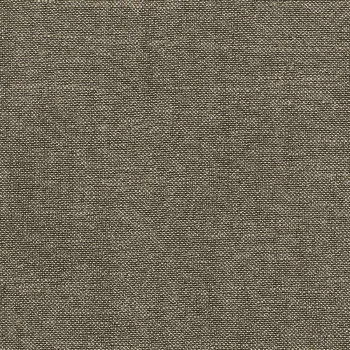STOUT TEXTILES  MULTIPURPOSE,TEXTURE TRADITIONAL, SOLID TWIG   - AINS-20