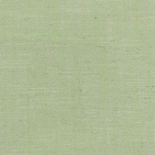 STOUT TEXTILES  MULTIPURPOSE,TEXTURE TRADITIONAL, SOLID GRASS   - AINS-25