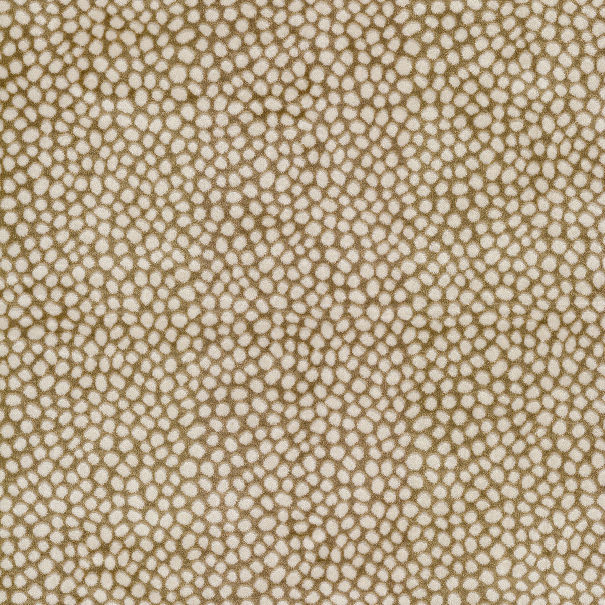STOUT TEXTILES  UPHOLSTERY,VELVET TRANSITIONAL,, CIRCLE OAK   - AKRO-1