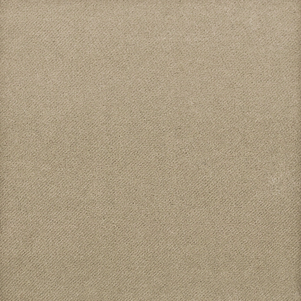 STOUT TEXTILES  UPHOLSTERY,VELVET TRADITIONAL, SOLID FLINT,GRANITE   - ALAS-5