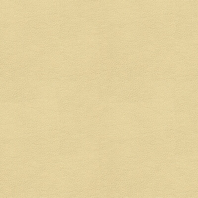 KRAVET SMART VINYL/FAUX LEATHER TEXTURE BEIGE,BEIGE,   - ALINA.116.0