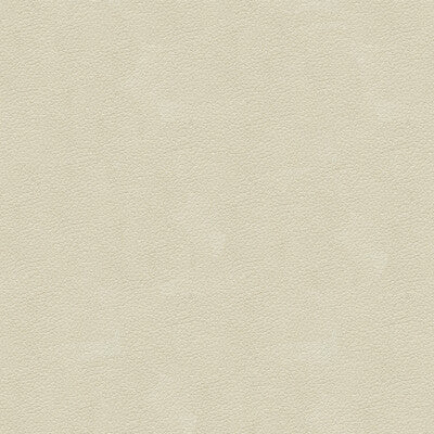 KRAVET DESIGN INDOOR / OUTDOOR TEXTURE IVORY,IVORY,   - ALI.111.0