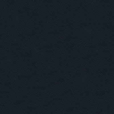 KRAVET DESIGN INDOOR / OUTDOOR TEXTURE INDIGO,INDIGO,   - ALI.50.0