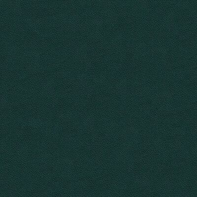 KRAVET DESIGN INDOOR / OUTDOOR TEXTURE EMERALD,GREEN,   - ALI.53.0