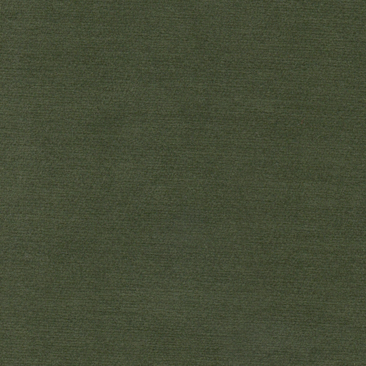 STOUT TEXTILES  UPHOLSTERY,CHENILLE TRADITIONAL, SOLID AVOCADO   - ALLO-1