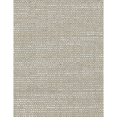 KRAVET COUTURE CHENILLE TEXTURE ,,   - AM100016.116.0