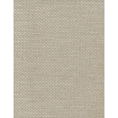 KRAVET COUTURE CHENILLE TEXTURE ,,   - AM100028.16.0