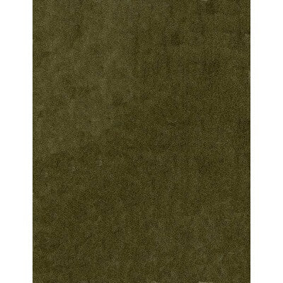 KRAVET COUTURE VELVET TEXTURE ,,   - AM100111.106.0