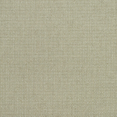 KRAVET COUTURE  TEXTURE TAUPE,BEIGE,BEIGE   - AM100390.106.0