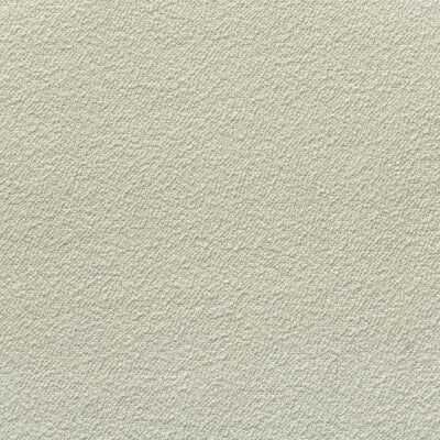 KRAVET COUTURE BOUCLE TEXTURE WHITE,IVORY,WHITE   - AM100426.1.0