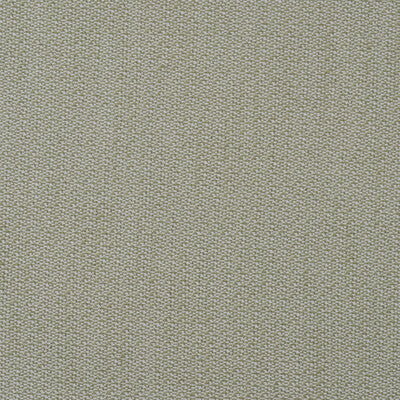 KRAVET COUTURE  TEXTURE CELERY,WHITE,GREEN   - AM100431.3.0