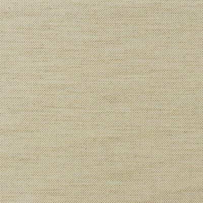 KRAVET COUTURE CHENILLE TEXTURE IVORY,BEIGE,BEIGE   - AM100435.16.0