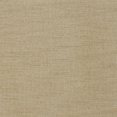 KRAVET COUTURE CHENILLE TEXTURE GOLD,WHITE,YELLOW   - AM100435.416.0