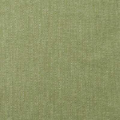 KRAVET COUTURE  SMALL SCALE CELERY,WHITE,GREEN   - AM100437.316.0