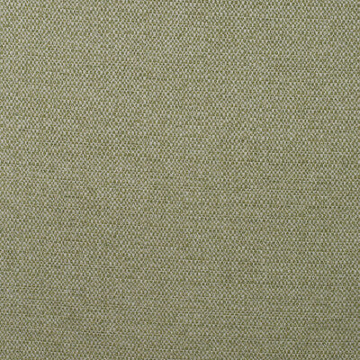 KRAVET COUTURE  TEXTURE CELERY,IVORY,GREEN   - AM100438.316.0