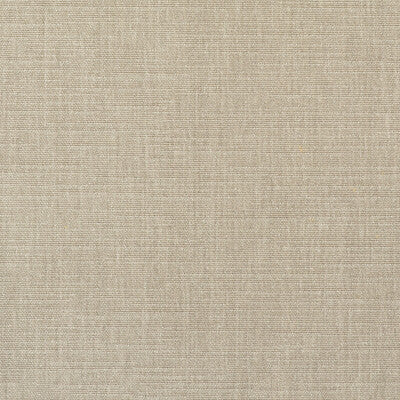 KRAVET COUTURE CHENILLE SOLID TAUPE,,BEIGE   - AM100439.106.0