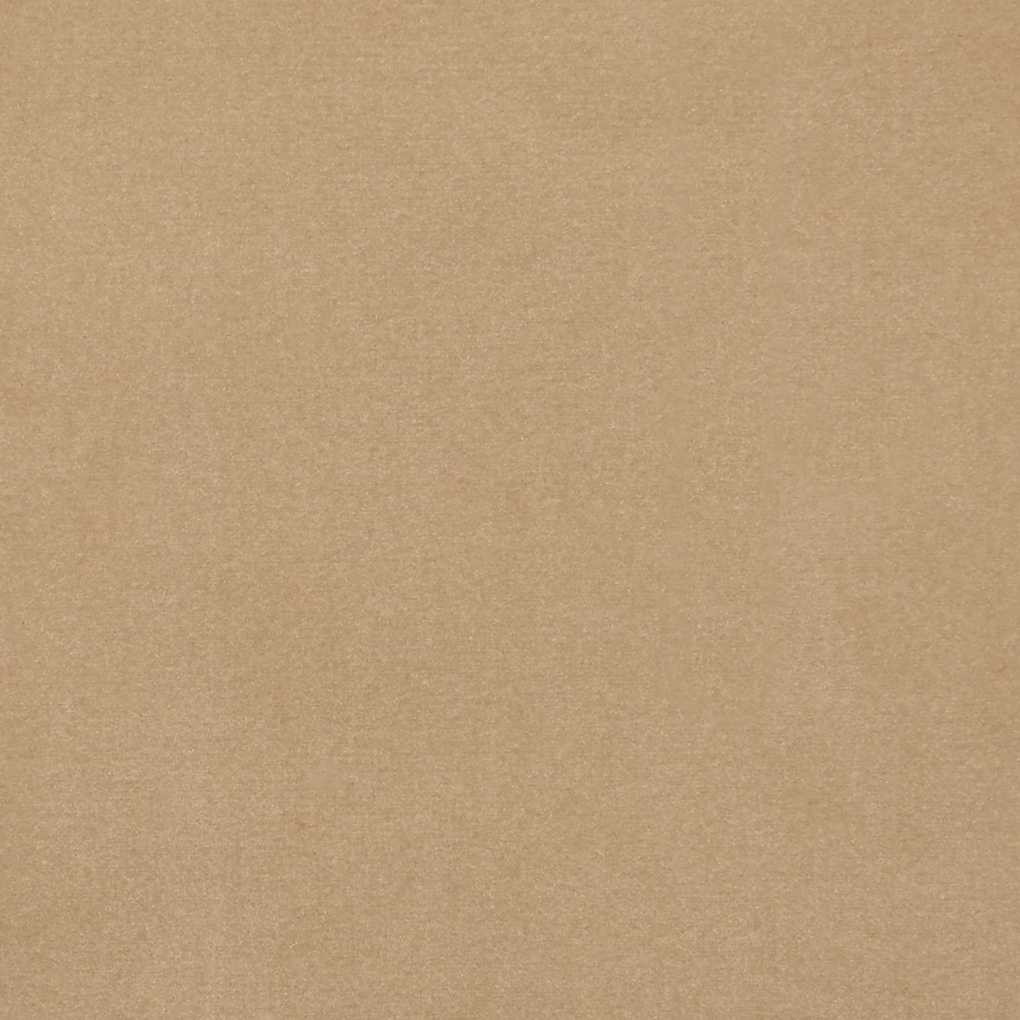 Cream/beige velvet fabric swatch with a smooth, plain texture on a light backdrop.
