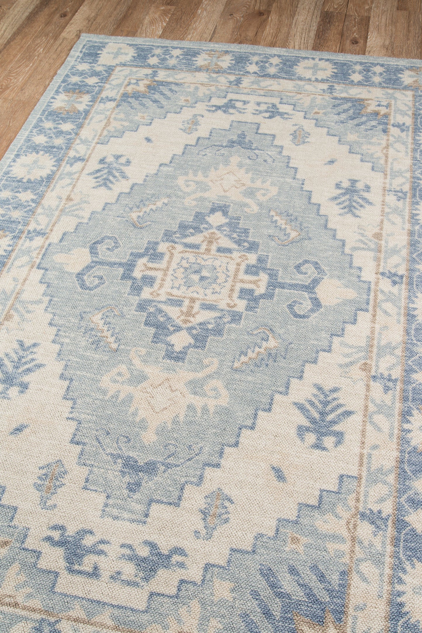 Blue and white geometric area rug with central medallion and border on a wooden floor.
