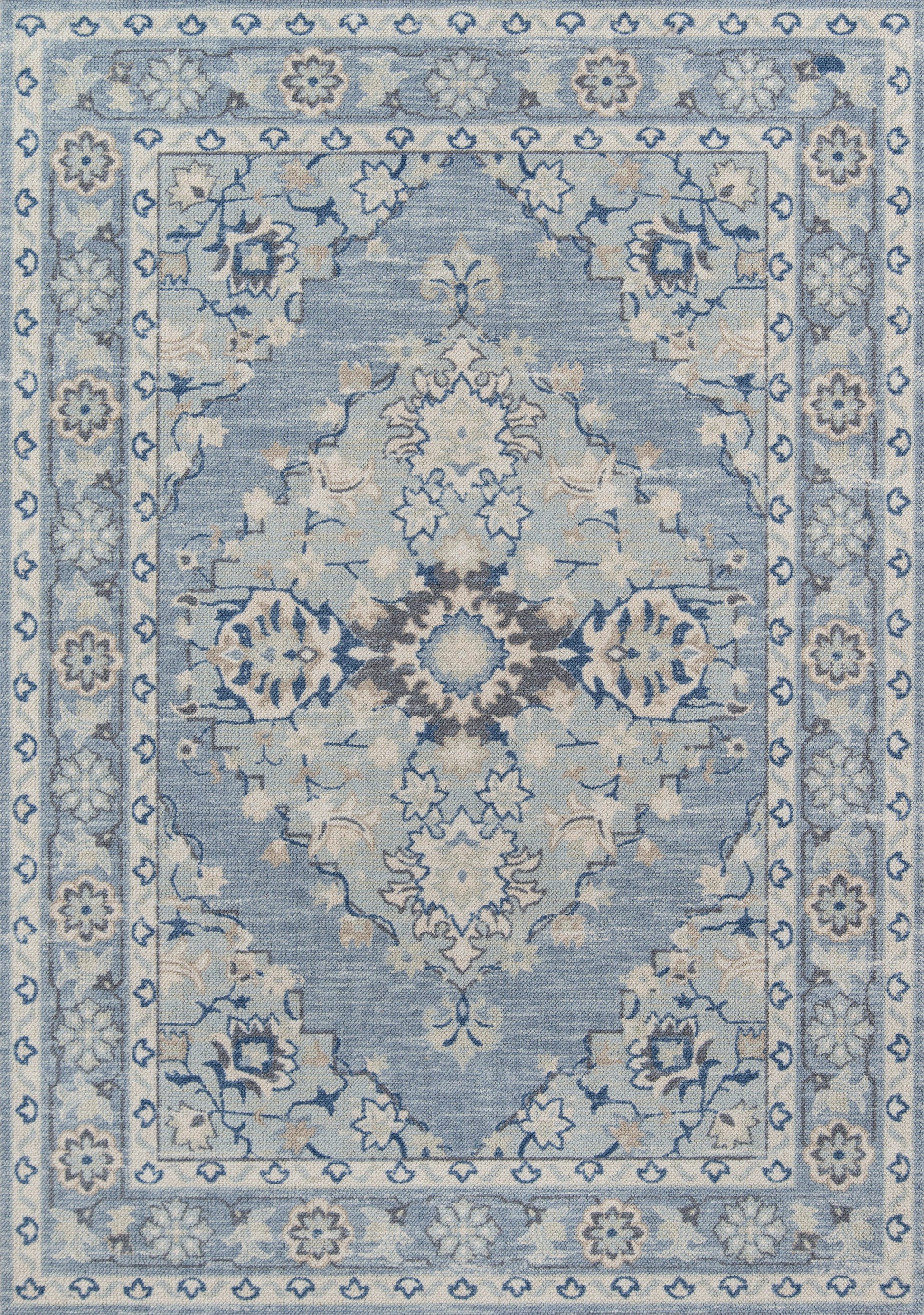 Blue oriental area rug with central medallion and ivory-taupe floral motifs, bordered in lighter blue.